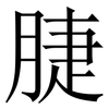 脻: Serifenschrift (Songti/Mingti)
