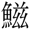 鰦: Serifenschrift (Songti/Mingti)