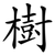 樹