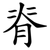脊