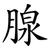 腺