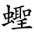 蟶