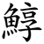 鯙