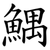 鰅