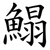 鰨