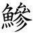 鰺