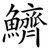 鱭