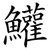 鱹