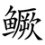 鳜