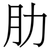 肋