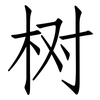 树: Fangsongti 树: Fangsongti