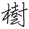 樹: regular script (using a pen)