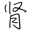 肾: regular script (using a pen)