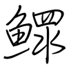 鰥: regular script (using a pen)