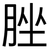 脞: sans serif