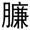 臁: sans serif