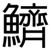 鱭: sans serif