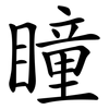 瞳