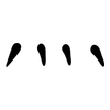 灬: clerical script 灬: clerical script