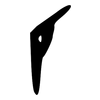 厂: oracle bone script 厂: oracle bone script