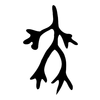垂: oracle bone script 垂: oracle bone script