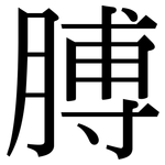 膊: serif (Songti/Mingti)