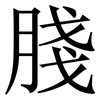 䏼: serif (Songti/Mingti)
