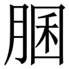 䐃: serif (Songti/Mingti)
