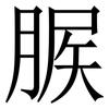 䐅: serif (Songti/Mingti)