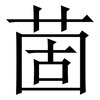 䓢: serif (Songti/Mingti)