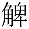 䚜: serif (Songti/Mingti)
