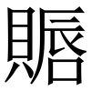 䞅: serif (Songti/Mingti)