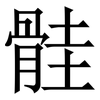 䯓: serif (Songti/Mingti)
