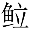 䲞: serif (Songti/Mingti)