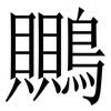 䴍: serif (Songti/Mingti)