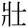 壯: serif (Songti/Mingti) 壯: serif (Songti/Mingti)