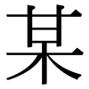 某: serif (Songti/Mingti) 某: serif (Songti/Mingti)