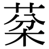 棻: serif (Songti/Mingti)