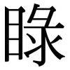 睩: serif (Songti/Mingti)