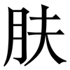 肤: serif (Songti/Mingti)