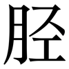 胫: serif (Songti/Mingti)