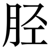 胫: serif (Songti/Mingti)