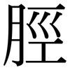 脛: serif (Songti/Mingti)