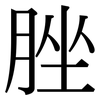 脞: serif (Songti/Mingti)