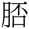 脴: serif (Songti/Mingti)