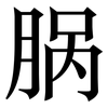 脶: serif (Songti/Mingti)
