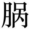 脶: serif (Songti/Mingti)