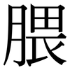 腲: serif (Songti/Mingti)
