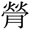 膋: serif (Songti/Mingti)