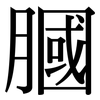 膕: serif (Songti/Mingti)